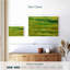 Avery Green Fields-107499378