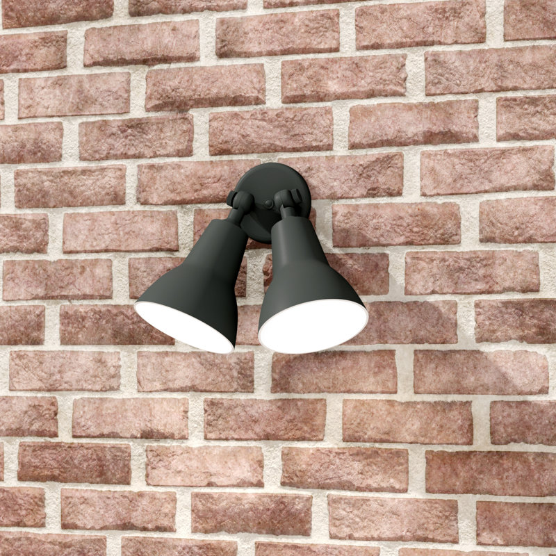 Balmorhea 2 - Head Hardwired Outdoor Security Flood Light, Black