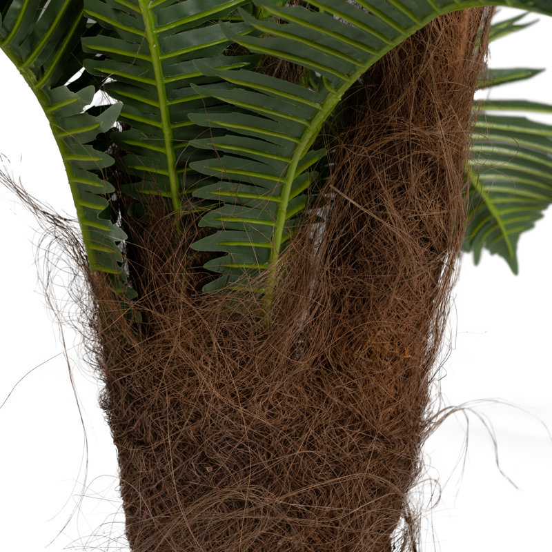 120cm Plant