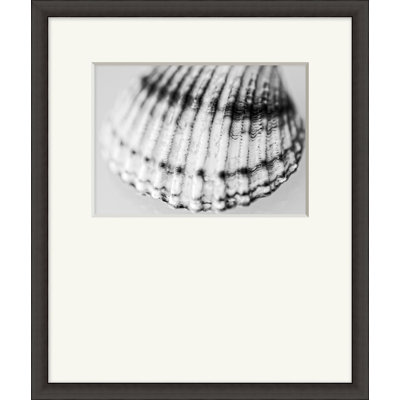 Shell Portrait 6 - Photographie avec cadre photo