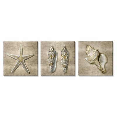 «Nautical Shells Beach Starfish Gold Brown» par Caroline Kelly - ensemble de 3 impressions