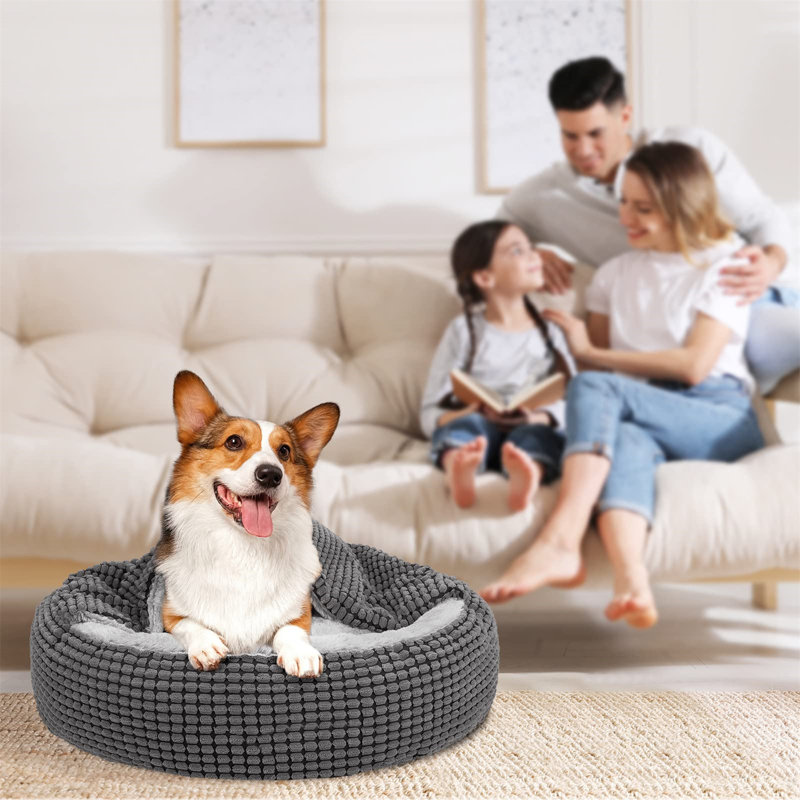 Haymarket Pet Bed