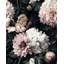 Papier peint floral botanique foncé Gurkirat