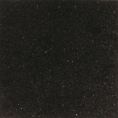 Granite Collection 12" x 12" Natural Stone Field Tile in Galaxy Black