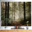 Lumière dans une forêt d'automne dense avec brouillard, œuvre d'art-358135810-358135837-304307549