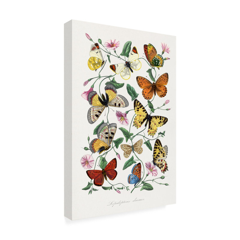 Art sur toile, "Le jardin des plantes", H 19 po x l 12 po x P 2 po