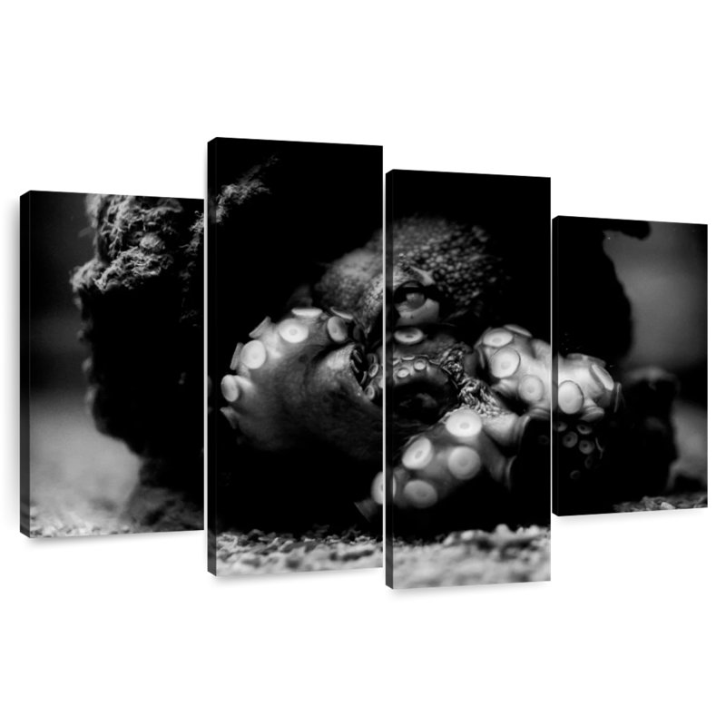 Brampt Tangled Octopus Tentacles, 42" H x 68" W