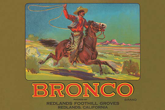 « bronco brand caisse label label », affiche rétro, H 36 po x l 24 po