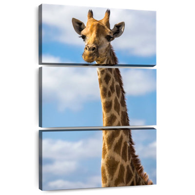 Jolie girafe Brampt