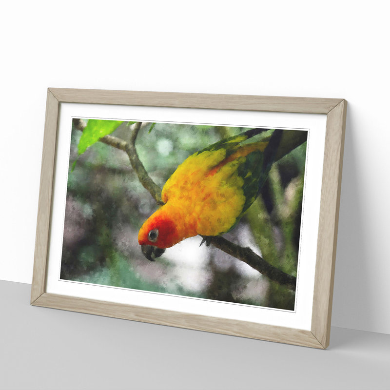 Parrot - Framed Print, Oak Framed, 27cm H x 36cm W x 2cm D