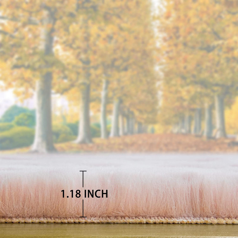 Tapis, Rond 3 pi 11 po