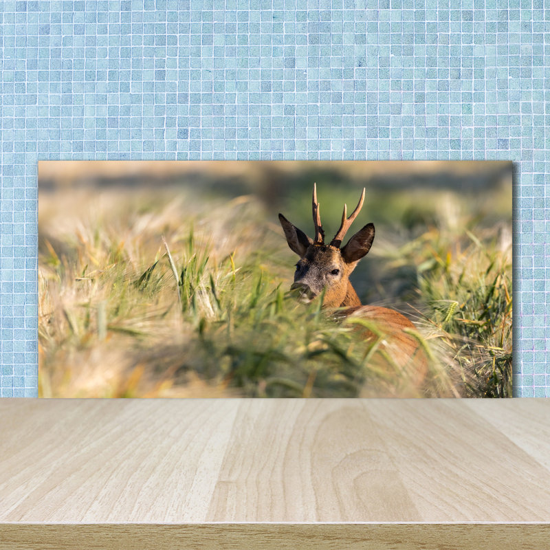 Francella 50cm W x 100cm L Glass Peel and Stick Panel