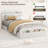 Twin Size Wooden Beds with Storage Headboard and Raised-Foodboard-2099432230
