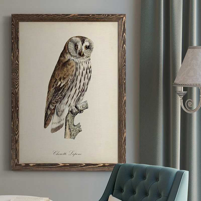Lynden French Owls III - Reproduction de photo sur toile simple, Cadre noyer, H 43,5 po x l 31,5 po x P 1 po