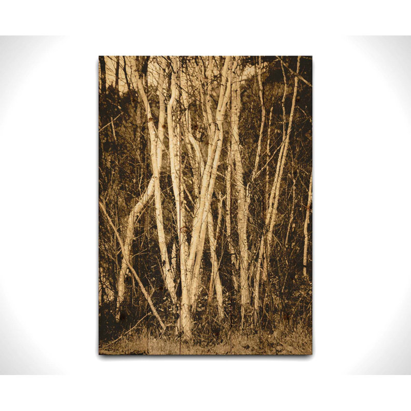 Bouleau d'automne par Hal Halli, Bois, Non, H 24 po x l 32 po x P 1,5 po