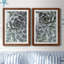 Zen Succulent III - ensemble de 2 reproductions de photos encadrées-998364398-998432601-998432600