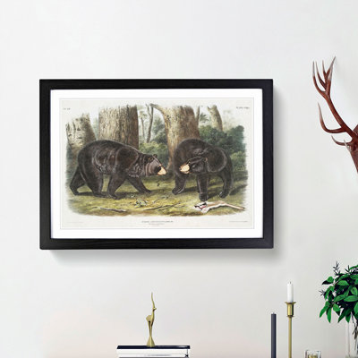 American Black Bears 1 Piece Single Picture Frame Painting