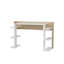 Klaiss Computer Desk-2060453669