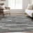Premium Machine Washable Prisco Gray Rug-1854802938