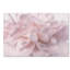 «Pink Peony Petals II» par Cora Niele - reproduction de photo sur toile-31106342