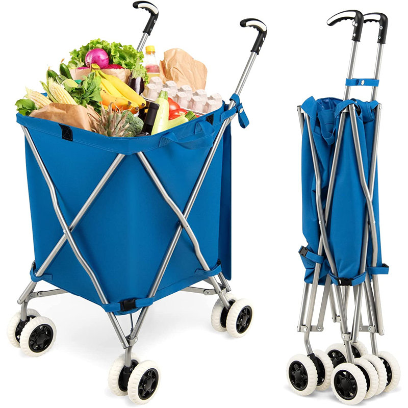 Pickney 94.5cm H x 66cm W x 46cm D 55kg Platform Trolley, Blue
