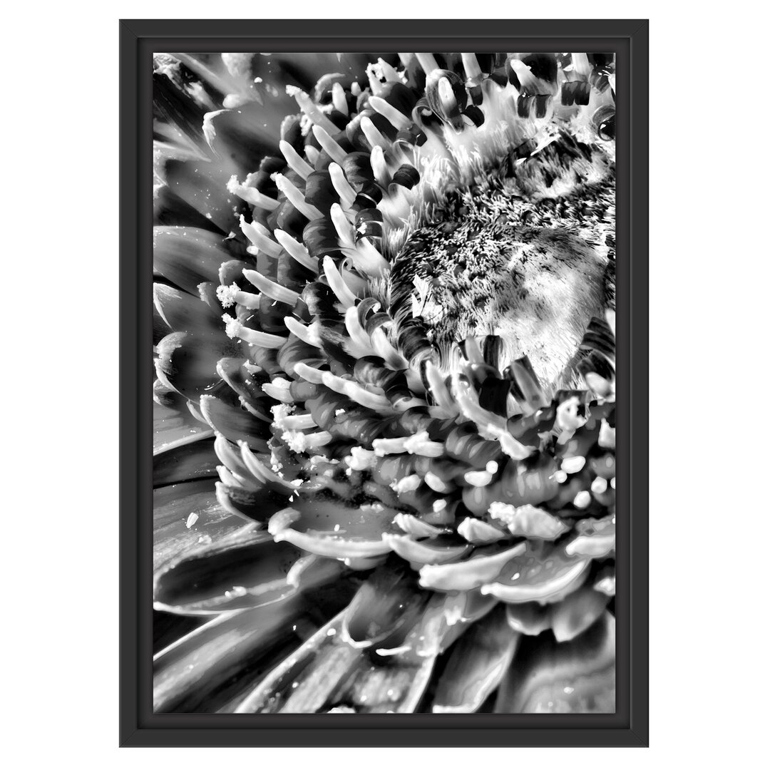 Gerahmtes Wandbild Gerbera Gras Blumen