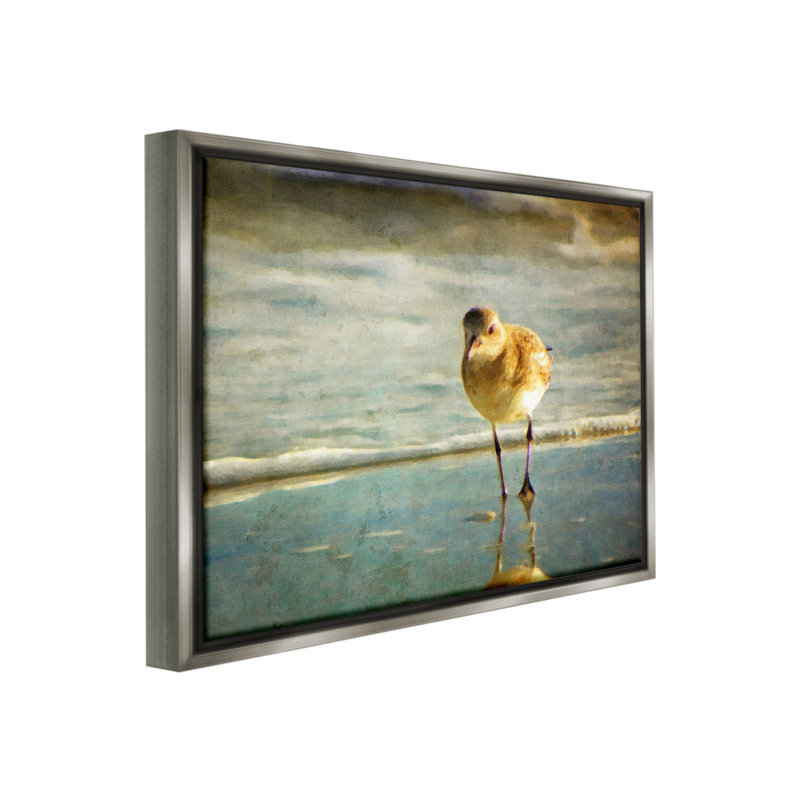 "Stepping Sandpiper at Shore", art mural sur toile flottante par GraffiTee Studios, Cadre flottant gris lustré