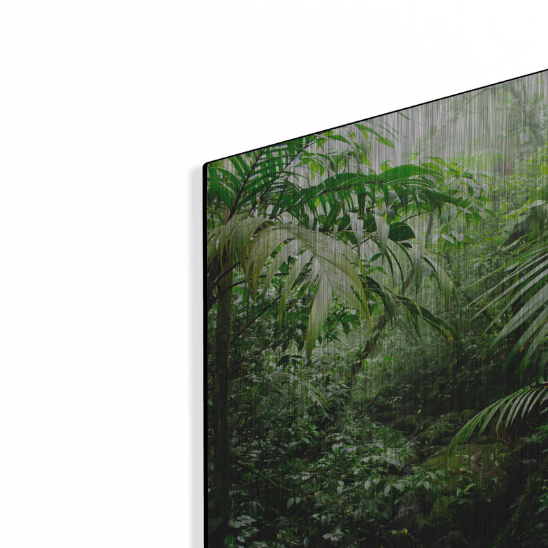 «Misty Rainforest Creek» par Nicklas Gustafsson, H 16 po x l 12 po