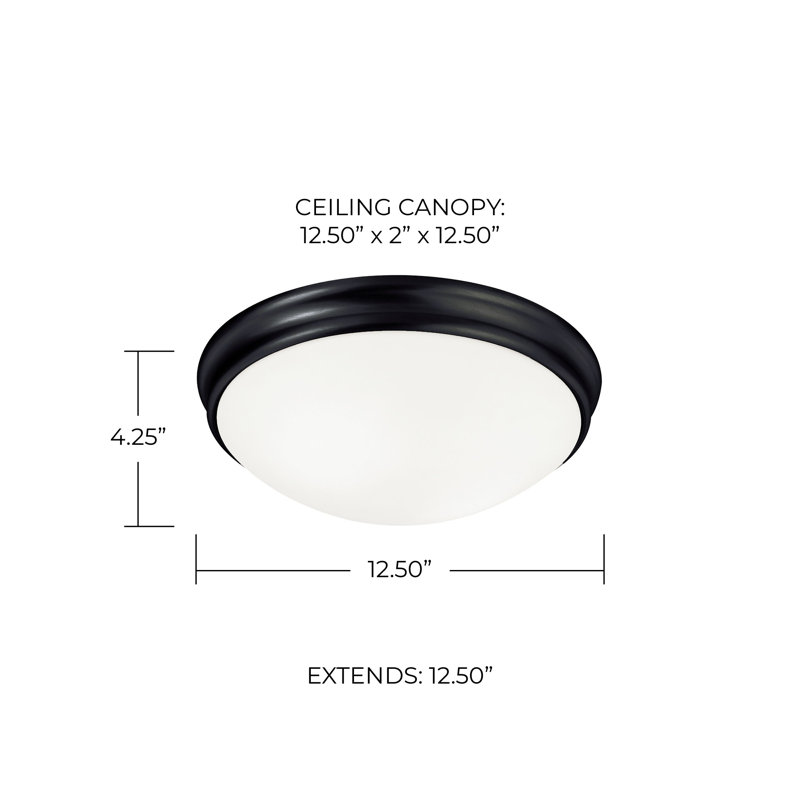  Plafonnier encastré 2 lumières 12,5 po, Noir mat