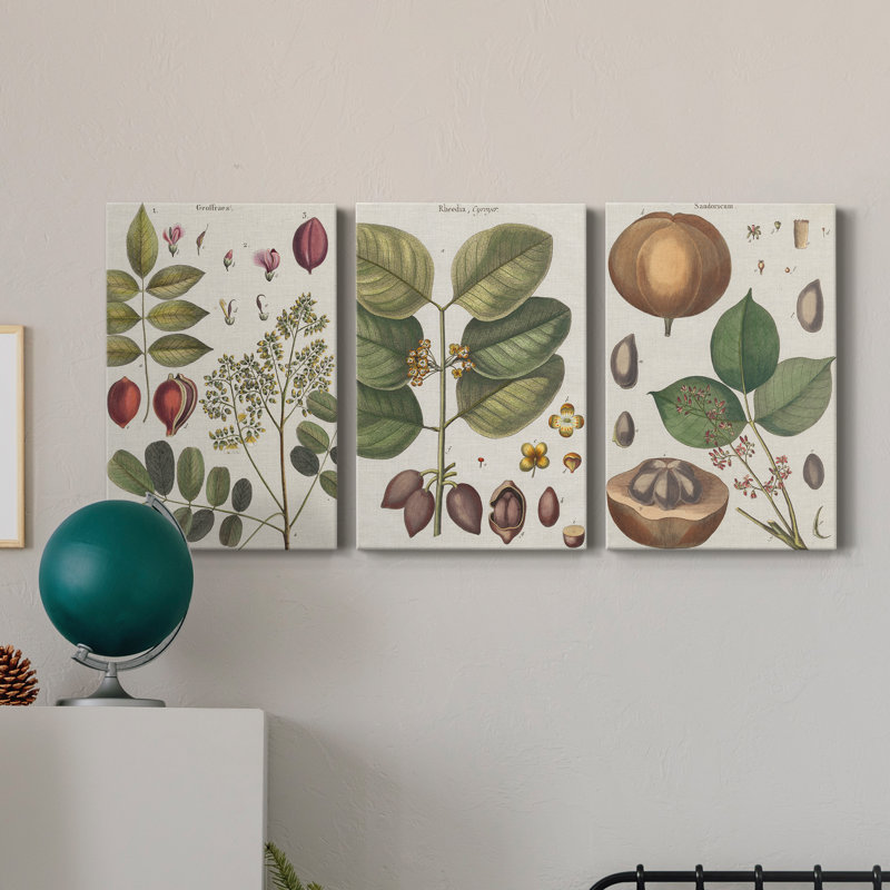 Exotic Botanique I - Ensemble de 3 toiles tendues, H 18 po x l 36 po x P 1 po