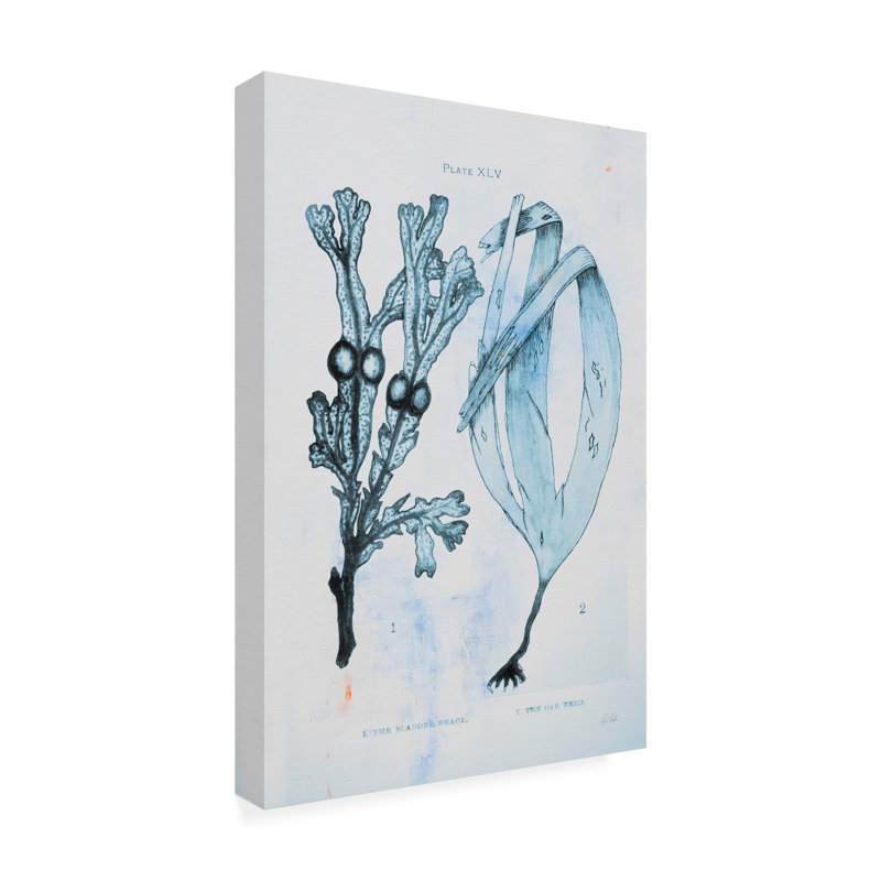  Deborah Revell Blue Bay I Canvas Wall Art, 19" H x 12" W