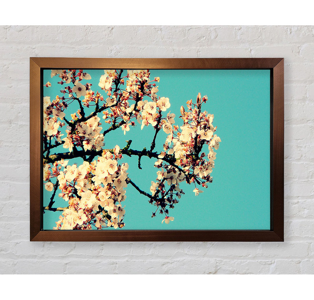 Blossom Tree Against A Blue Sky - Einzelner Bilderrahmen Kunstdrucke