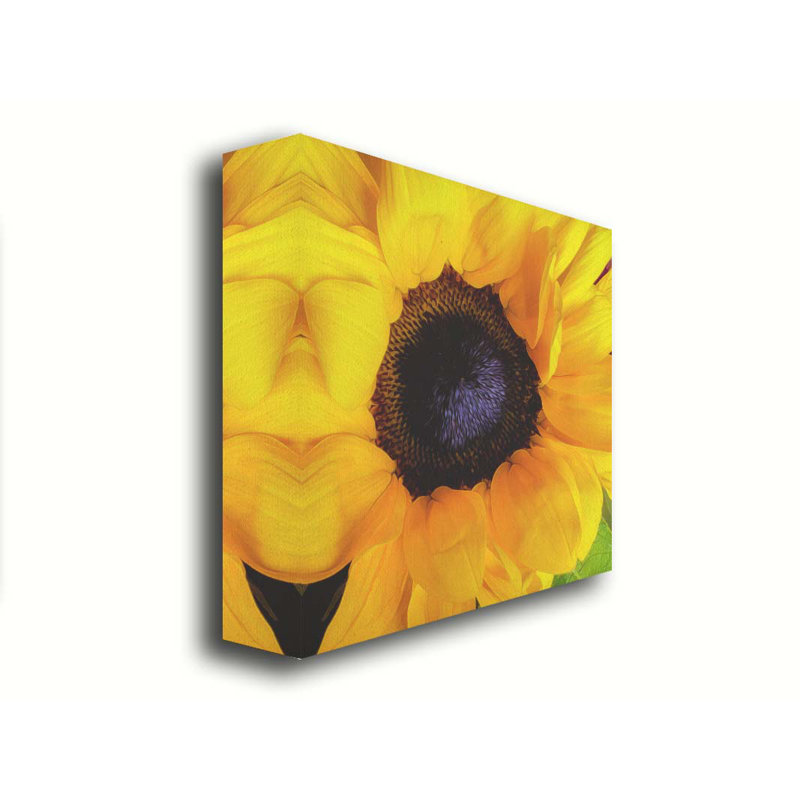You Are My Sunshine par Hal Halli. Toile giclée sur toile tendue avec cadre flottant, Toile tendue, Ne s’applique pas