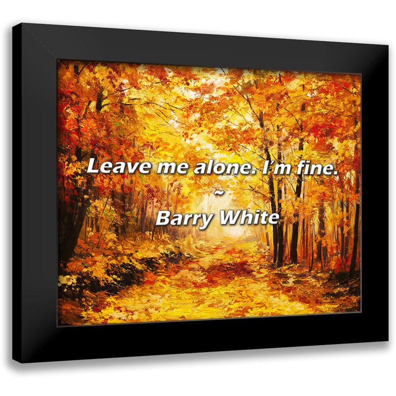 Citation de Barry White: Laissez-moi tranquille. Ca va.