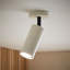 Taylor  Tube Single Adjustable Ceiling Spotlight-1063613040-1063613053