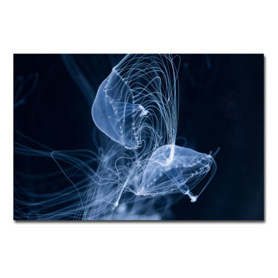 Jelly Fish Parade One Print