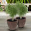 Pot de fleurs extérieur rond en polyrésine brun 15,75 po x 15,75 po x 14 po Boisdale - ensemble de 4-1599208233