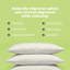 Housse de coussin en coton avec coquille à fermeture à glissière Bean Products