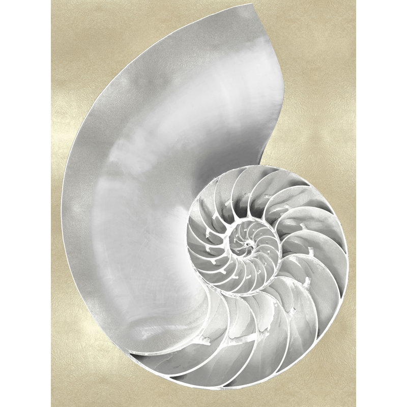 «Silver Pearl Shell on Gold II» par Caroline Kelly - reproduction d'art sur toile tendue, H 16 po x l 12 po
