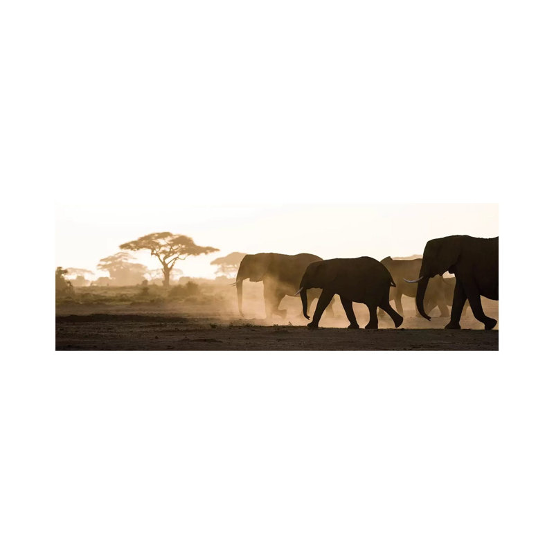 Africa, Kenya, Amboseli National Park. Backlit Elephants On The March by Jaynes Gallery - Wrapped Canvas Panoramic Print