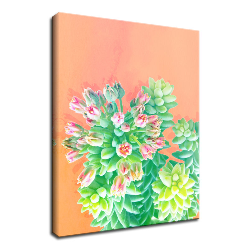 « fraîche growth », impression sur toile succulent, H 16 po x l 12 po x P 1,5 po, Toile tendue