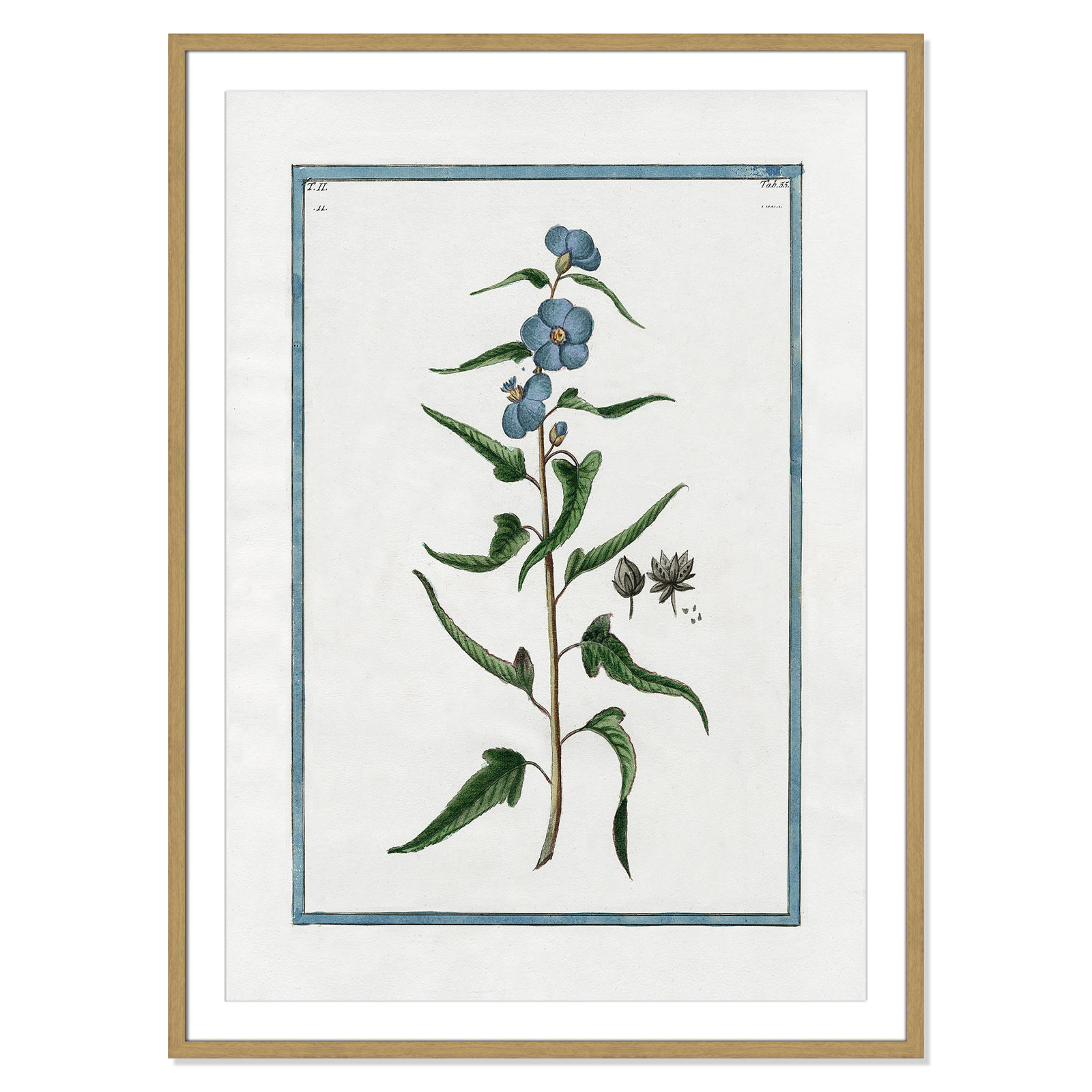 Colombe "Shabby Elegance Botanical I" Print, 29.5" W x 41.5" H, Natural Framed