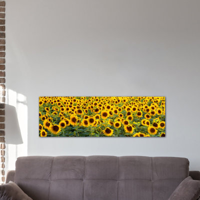 " Sunflowers (Helianthus Annuus) In A Field, Bouches-Du-Rhone, Provence, France " by Panoramic Images