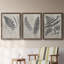 «Vintage Fern Study II», ensemble de 3 reproductions d'art sur toile-59877553-59877566