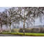 Pastoral Countryside XI by Colby Chester - Photograph Print-1845628989-1804720792