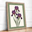 Irises in Violet Botanical - Framed Print-62365700-62365701