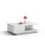 Theresa Coffee Table with Storage-25293510