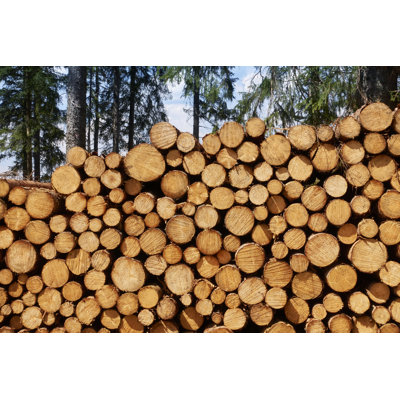 Stacked Logs by Acilo - Wrapped Canvas Print