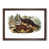 Walnut Framed selected