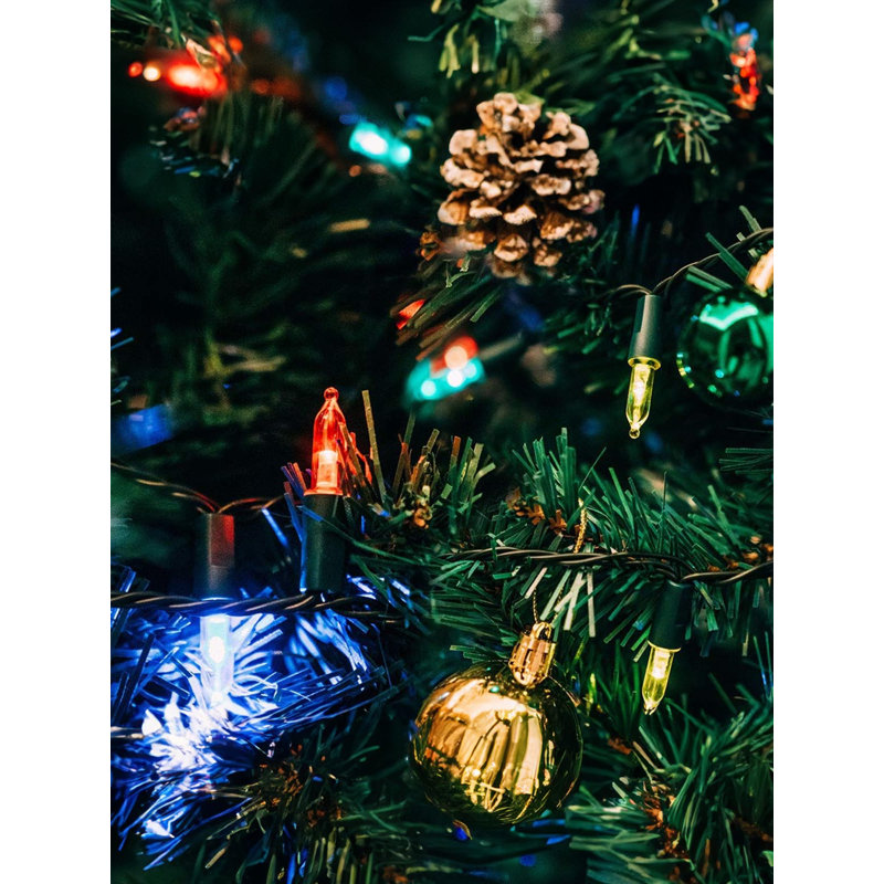  Multicolore, lumières de Noël à piles, guirlandes de lumières imperméables avec 8 modes pour décoration de jardin d'arbre, 16 pi, 50 DEL, paquet de 2